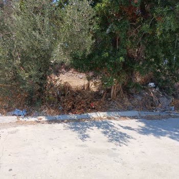 Her Cumartesi Evimizin Önüne Park Eden Araçlar Nedeniyle Giriş Çıkışlarımız Engelleniyor