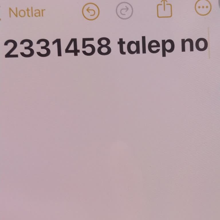 Yurt Dışında Kasko Desteksizliği Tatilimi Mahvetti