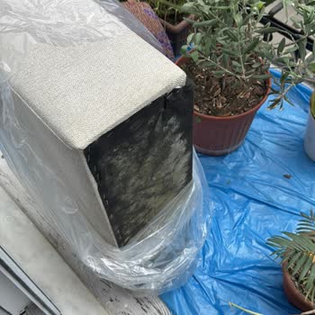 Enza Home'dan Gelen Küflü Ve Kırık Koltuk Hayal Kırıklığı Yarattı!