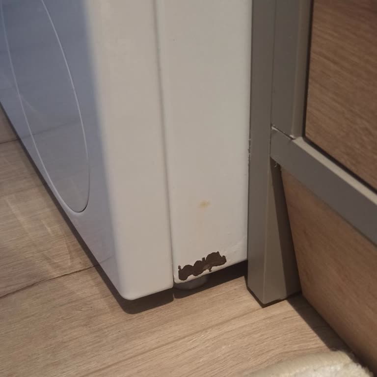 Bosch Çamaşır Makinesinde Garanti Kapsamında Paslanma Ve Yetersiz Servis Değerlendirmesi