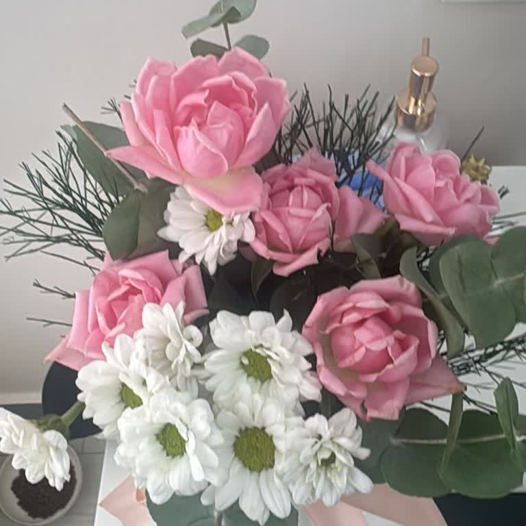 Solmuş Ve Dağınık Çiçek Teslimatı, Müşteri Hizmetlerinden Yanıt Alınamıyor