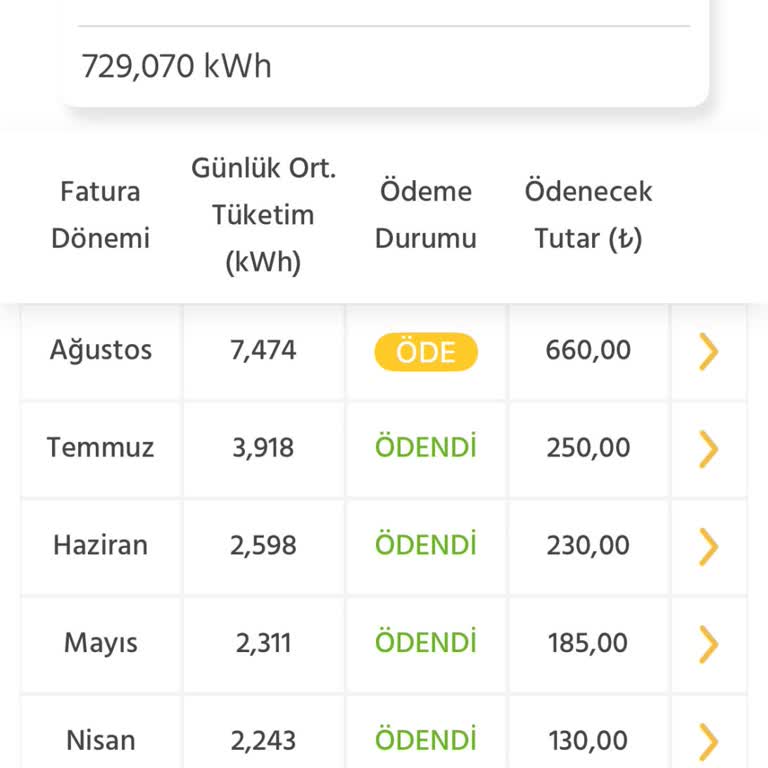 Sayaç Değişimi Sonrası Fatura Şoku: Kısa Sürede 3 Kat Artış
