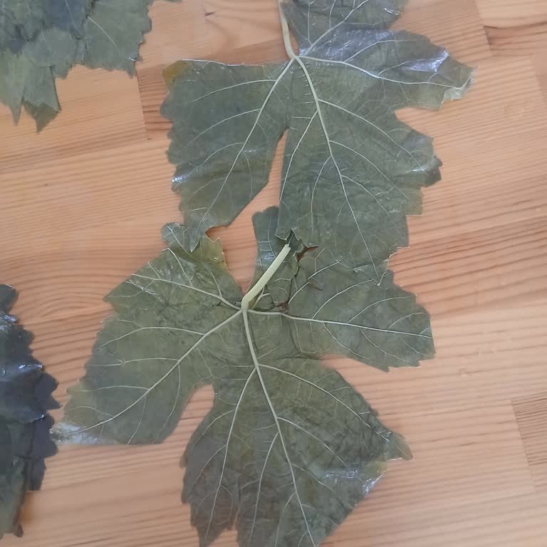 Aldığım Salamura Üzüm Yaprağı Kalitesiz Çıktı, İade Talebime Dönüş Yapılmadı