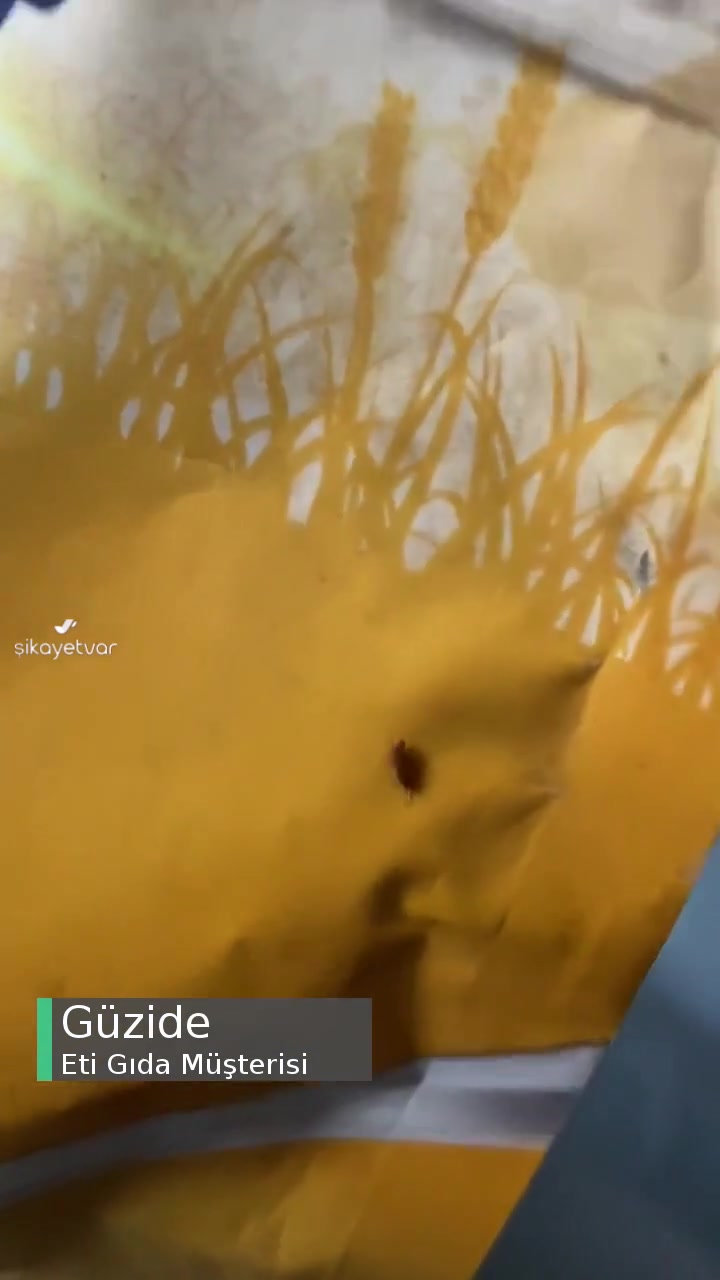 Eti Lifalif Böcek Sorunu videonun kapak resmi