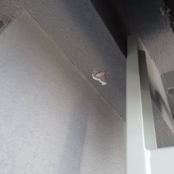 Eksik Ve Hatalı Klima Kurulumu: Güvenlik Riski Ve Mağduriyet