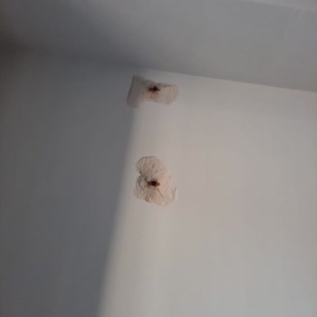 Eksik Ve Hatalı Klima Kurulumu: Güvenlik Riski Ve Mağduriyet