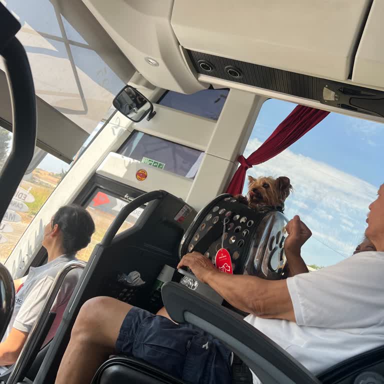 Personelin İlgisizliği Ve Otobüste Hayvan Taşınması Yolculuğu Kabusa Çevirdi