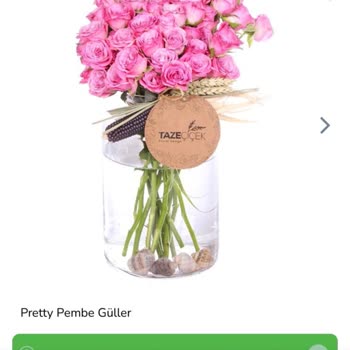 Siparişimdeki Ürün Görselden Farklı Geldi, Çözüm Sunulmadı