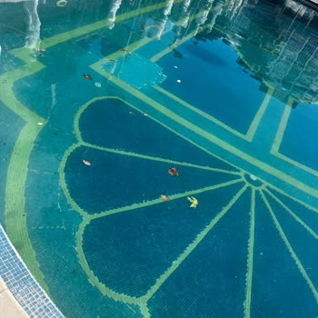 Havuz Ve Temizlik Sorunlarıyla Hayal Kırıklığı Yaşadık