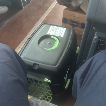 Metro Turizm'de Bagajda Hayvan Taşıma Skandalı