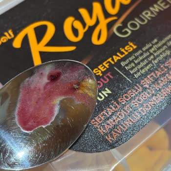 Dondurmada Böcek Çıkması Ve Yetersiz Müşteri Desteği