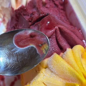 Dondurmada Böcek Çıkması Ve Yetersiz Müşteri Desteği