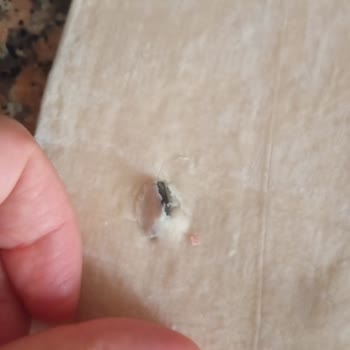 Milföy Hamurundan Çıkan Yabancı Madde Nedeniyle Yaşadığım Mağduriyet