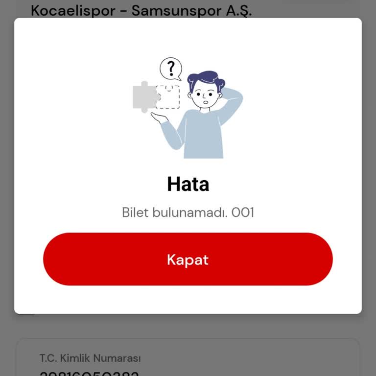 Passolig'de Bilet Devri Hatası Mağduriyeti