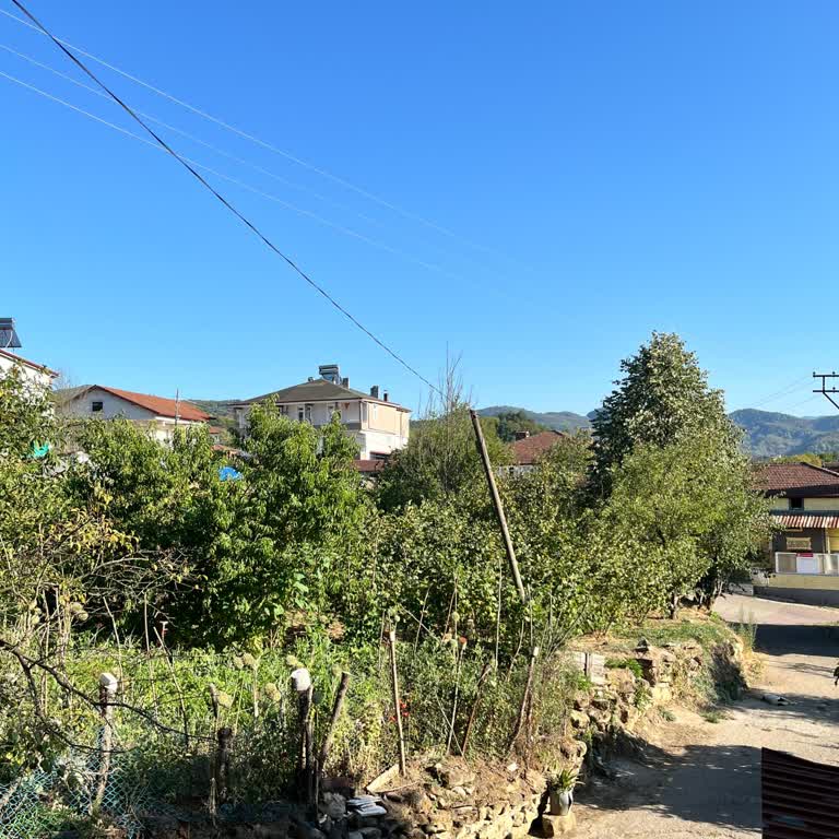 Sürekli Düşük Hız Ve İlgisiz Müşteri Hizmetleri Nedeniyle İnternet Sorunu