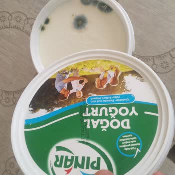 Pınar Et Ve Süt Son Kullanma Tarihi Geçmemiş Yoğurtta Küf Şoku Yaşadım