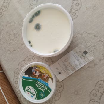 A101 Kullanım Tarihi Geçmiş Pınar Marka Yoğurt