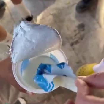 Mis Paramız Boşa Gitti Ve Midemiz Bulandı