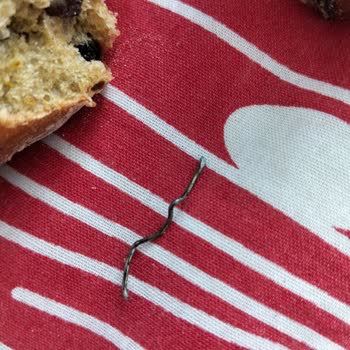 İstanbul Halk Ekmek Fındıklı Üzümlü Çörekten Tel Parçası Çıktı: Sağlık Riski!