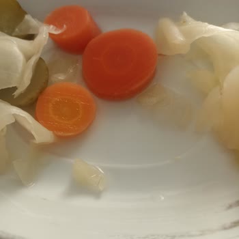 Vatan Marka Turşuda Kıl Çıkması Nedeniyle Hijyen Ve Sağlık Endişesi