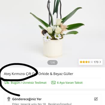 Yanlış Ve Eksik Orkide Siparişi, Yetersiz Müşteri Hizmeti