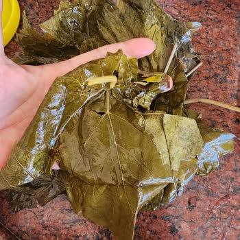 Sipariş Edilen Salamura Yaprakların Kalitesi ve Müşteri Hizmeti Hakkında Şikayet
