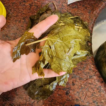 Sipariş Edilen Salamura Yaprakların Kalitesi ve Müşteri Hizmeti Hakkında Şikayet
