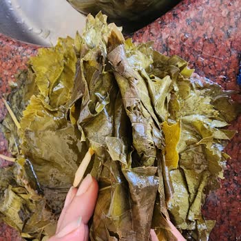 Sipariş Edilen Salamura Yaprakların Kalitesi ve Müşteri Hizmeti Hakkında Şikayet