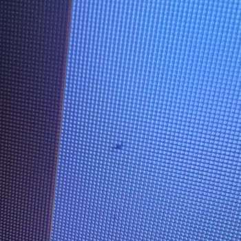 Garanti Kapsamındaki Monitörüm İçin Çözüm Bekliyorum