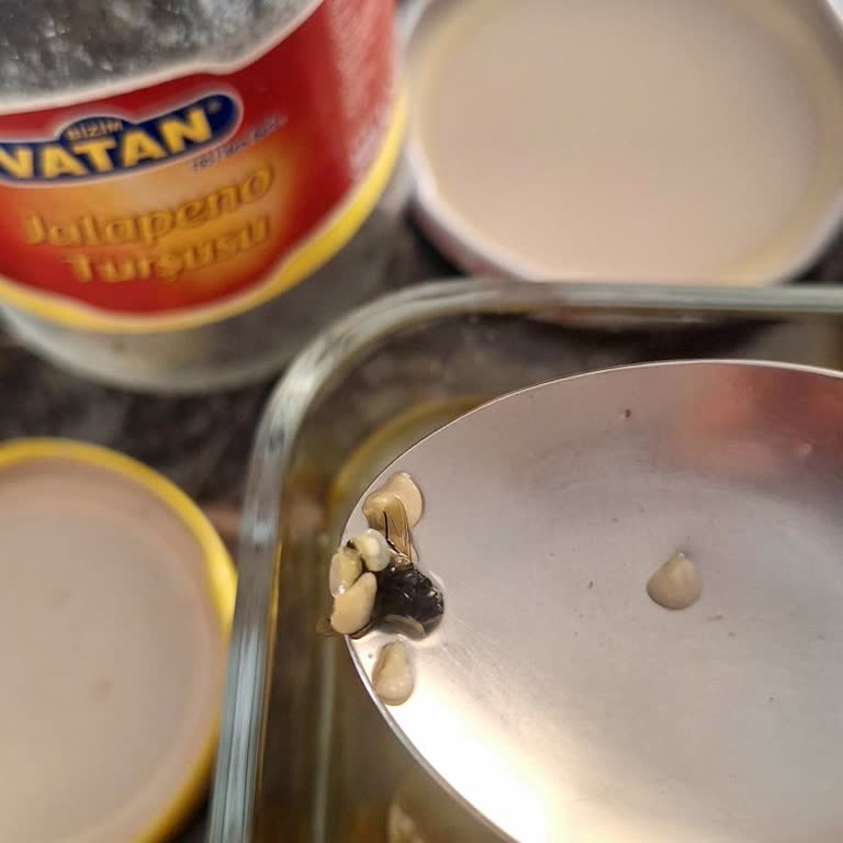 Aldığım Jalapeno Turşusunda Ölü Böcek Çıkması Ve Hijyen Sorunu