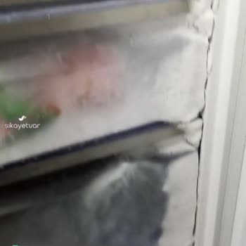 Simfer Buzlanma Kapıya Kadar!