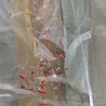 Kırılmaz Etiketli Bardaklar Kırık Teslim Edildi, Zararım Karşılanmalı