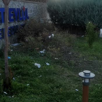 Parkta Temizlik ve Güvenlik Eksiklikleri Hakkında Şikayet