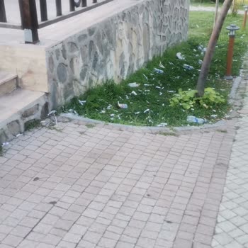 Parkta Temizlik ve Güvenlik Eksiklikleri Hakkında Şikayet