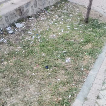 Parkta Temizlik ve Güvenlik Eksiklikleri Hakkında Şikayet