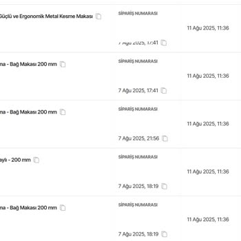 Bayilik Xml, Bayilik Paketi Ve Entegrasyon Hizmetiyle İlgili Ciddi Mağduriyet Yaşamaktayım!