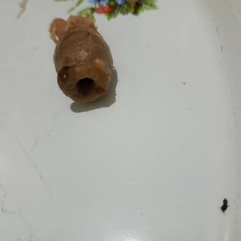 Satın Aldığım Tavukta Olmaması Gereken Organ Parçası Çıktı