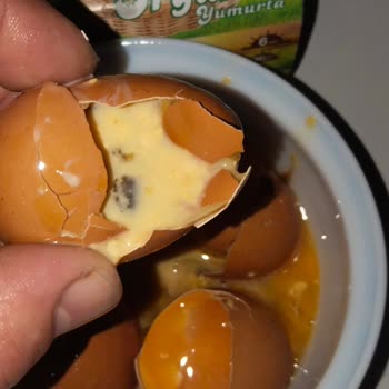 BİM Bozuk Organik Yumurta Satışı!