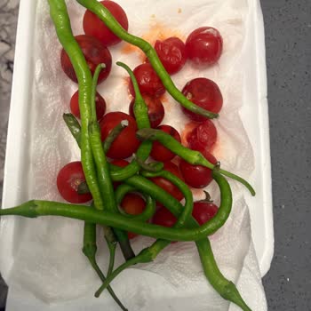 Tekrarlayan Arıza, Yetersiz Servis Ve Mağduriyet: Buzdolabım Çözülmüyor!