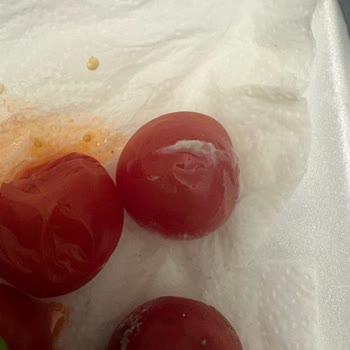 Tekrarlayan Arıza, Yetersiz Servis Ve Mağduriyet: Buzdolabım Çözülmüyor!