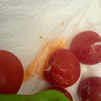 Tekrarlayan Arıza, Yetersiz Servis Ve Mağduriyet: Buzdolabım Çözülmüyor!