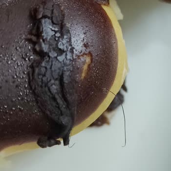 Ekler Siparişimde Kıl Çıktı Hijyen Ve Özür Bekliyorum