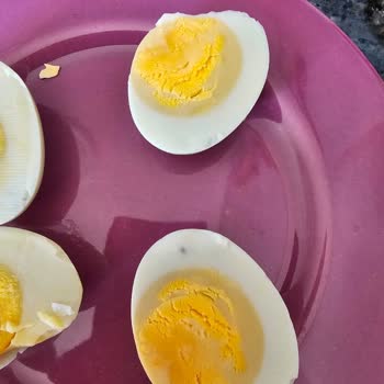 A101'den Aldığım Yumurtalar Bozuk Çıktı, Sorunum Çözülmedi