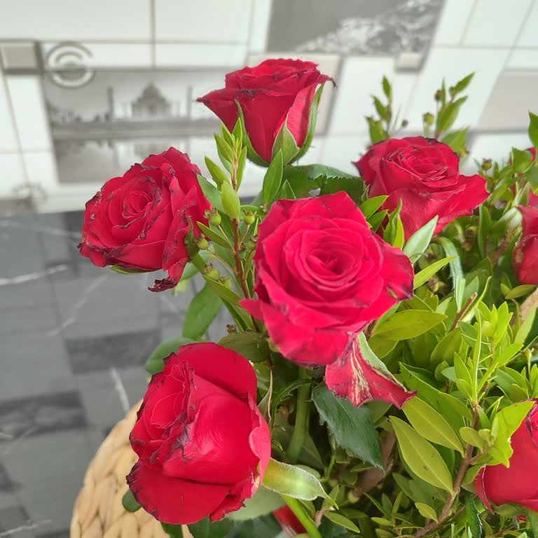 Yanlış ve Solmuş Çiçek Teslimatı, Gecikmeli Sipariş