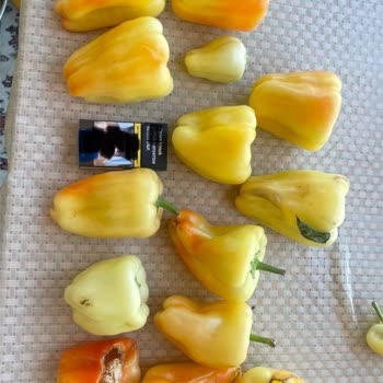 Beklentimin Çok Üzerinde Gelen Ürün Boyutu Hayal Kırıklığı Yarattı