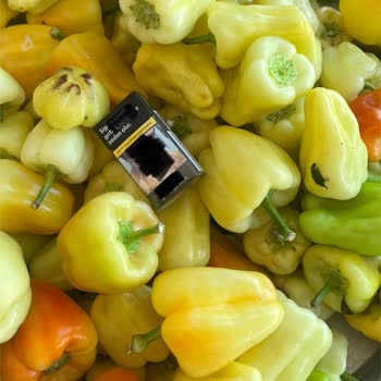 Beklentimin Çok Üzerinde Gelen Ürün Boyutu Hayal Kırıklığı Yarattı