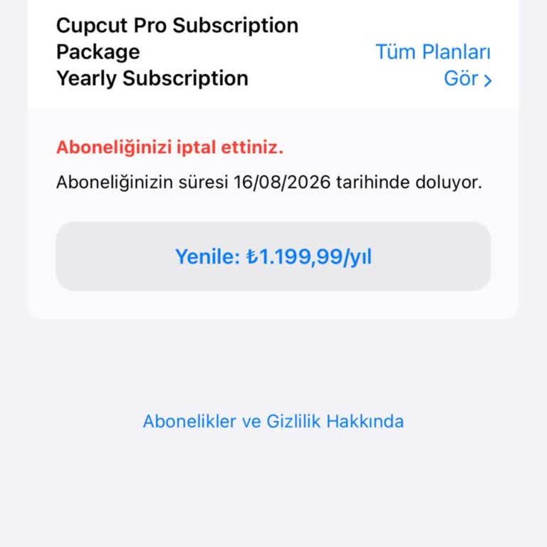 Apple Cap Cut Abonelik Ödemesi İki Kez Çekildi