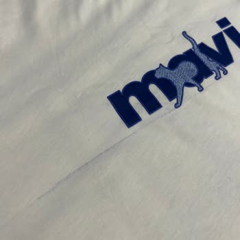 Yeni Alınan Mavi Tişörtün Boyası Aktı, Diğer Çamaşırlarım Zarar Gördü