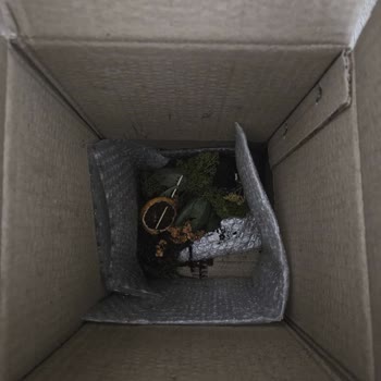 Doğum Günü Çiçeği Kırık Ve Özensiz Teslim Edildi Müşteri Hizmetlerine Ulaşamadım