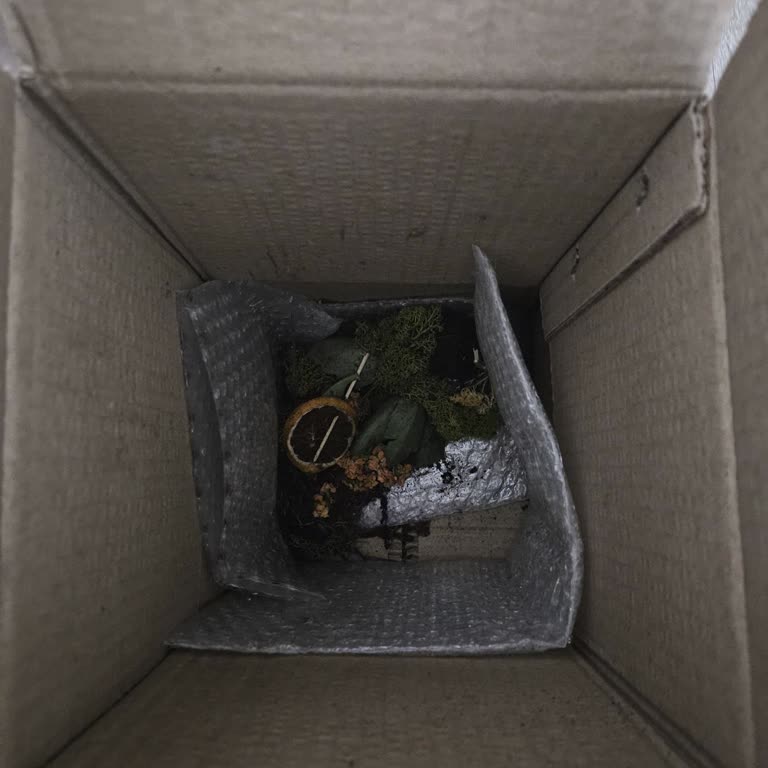 Doğum Günü Çiçeği Kırık Ve Özensiz Teslim Edildi Müşteri Hizmetlerine Ulaşamadım